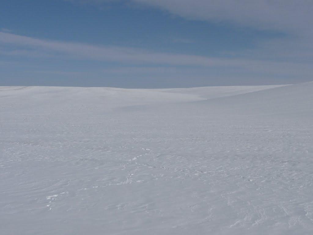 Кам'янисте з panoramio.com - Кам'янисте