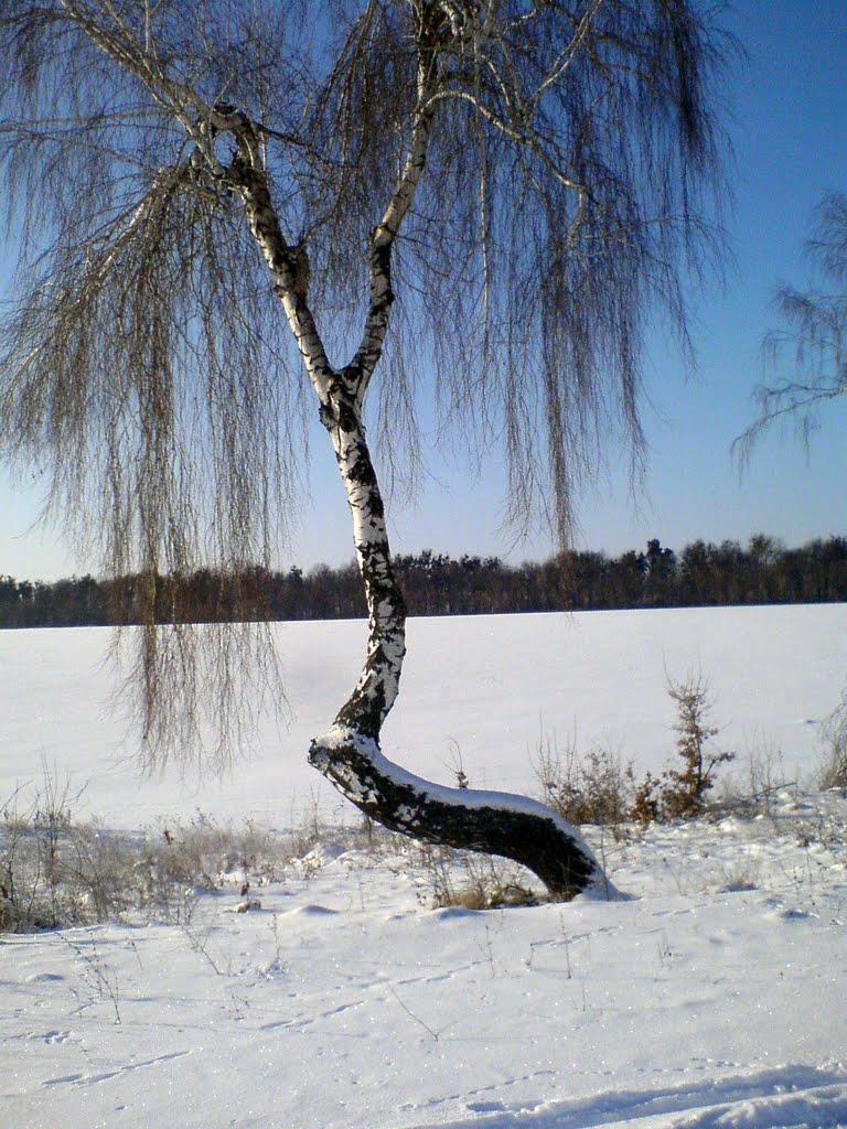 Кудлаї з panoramio.com - Кудлаї