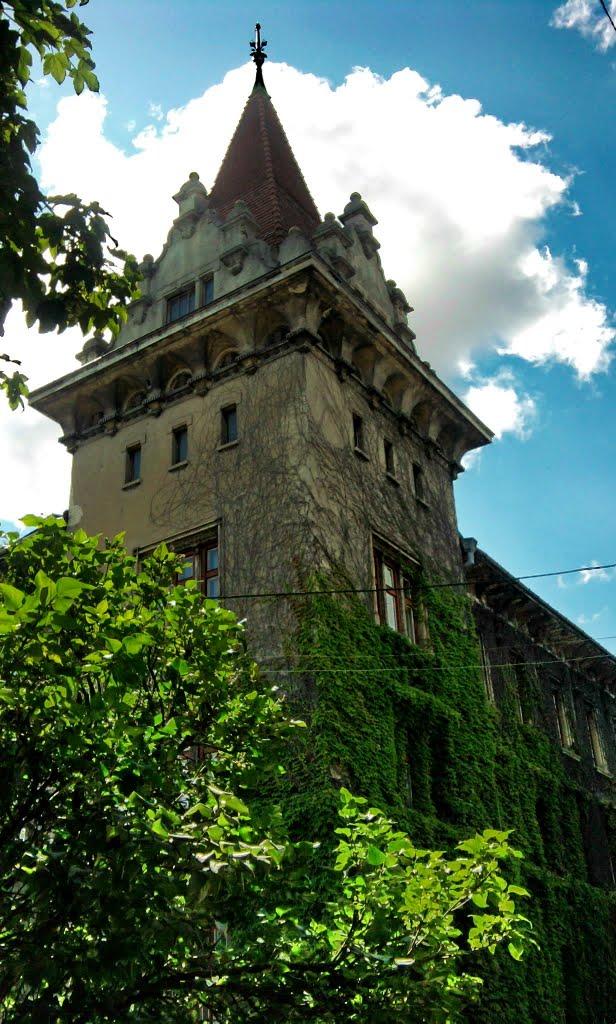 Броди з panoramio.com - Броды
