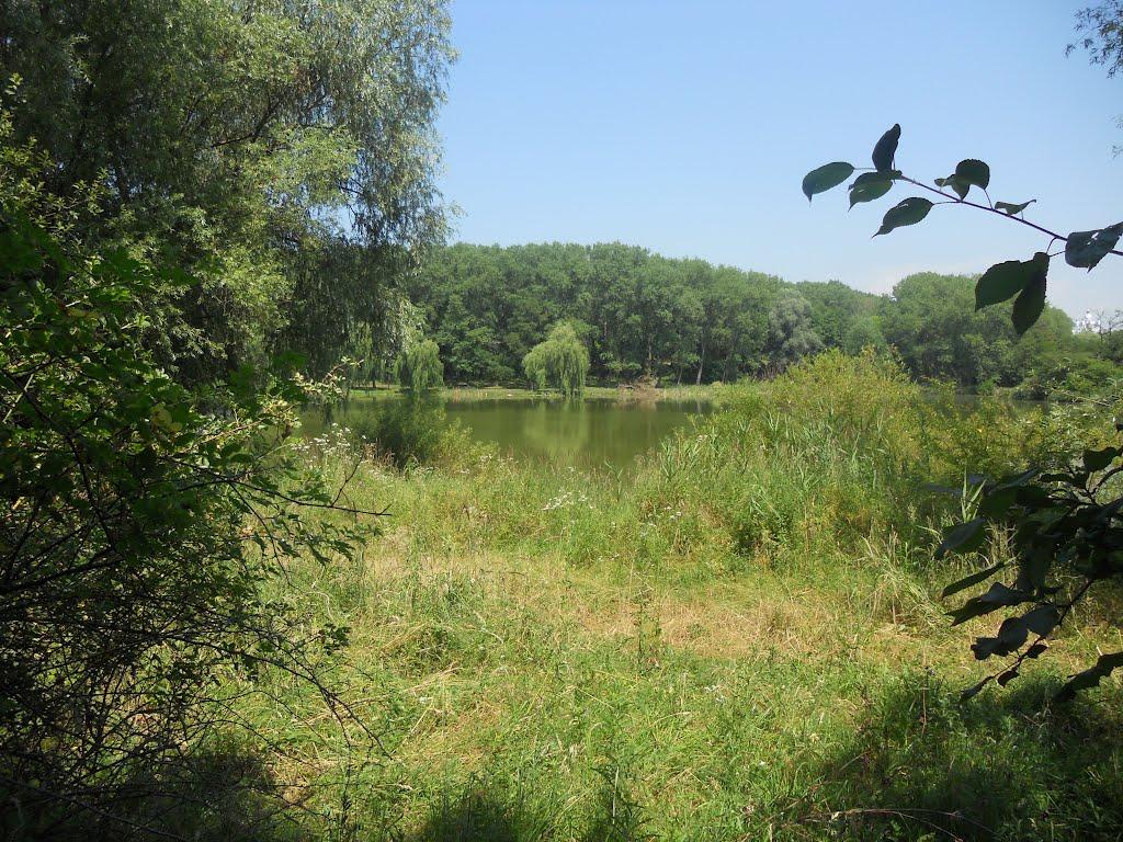 Новий Розділ з panoramio.com - Новый Роздол