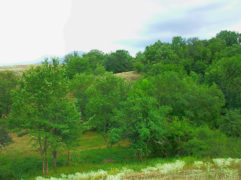 Голубинка з panoramio.com - Голубинка