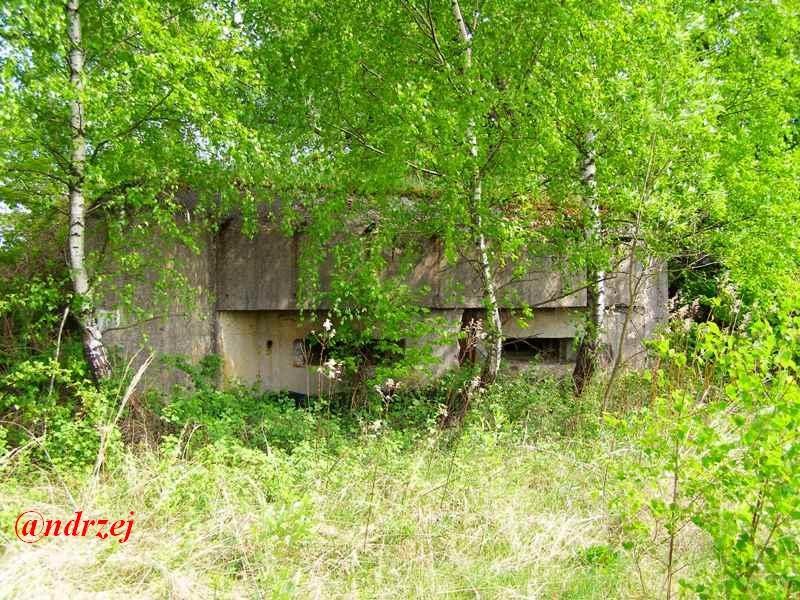 Великі Макари з panoramio.com - Великі Макари