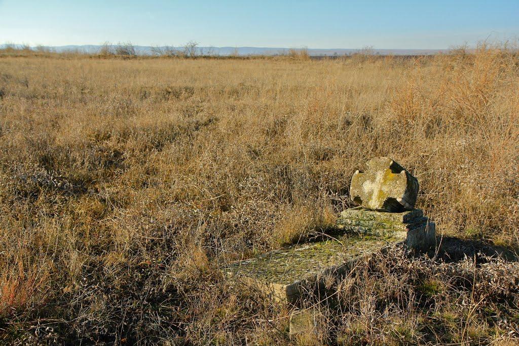 Лохівка з panoramio.com - Лохівка