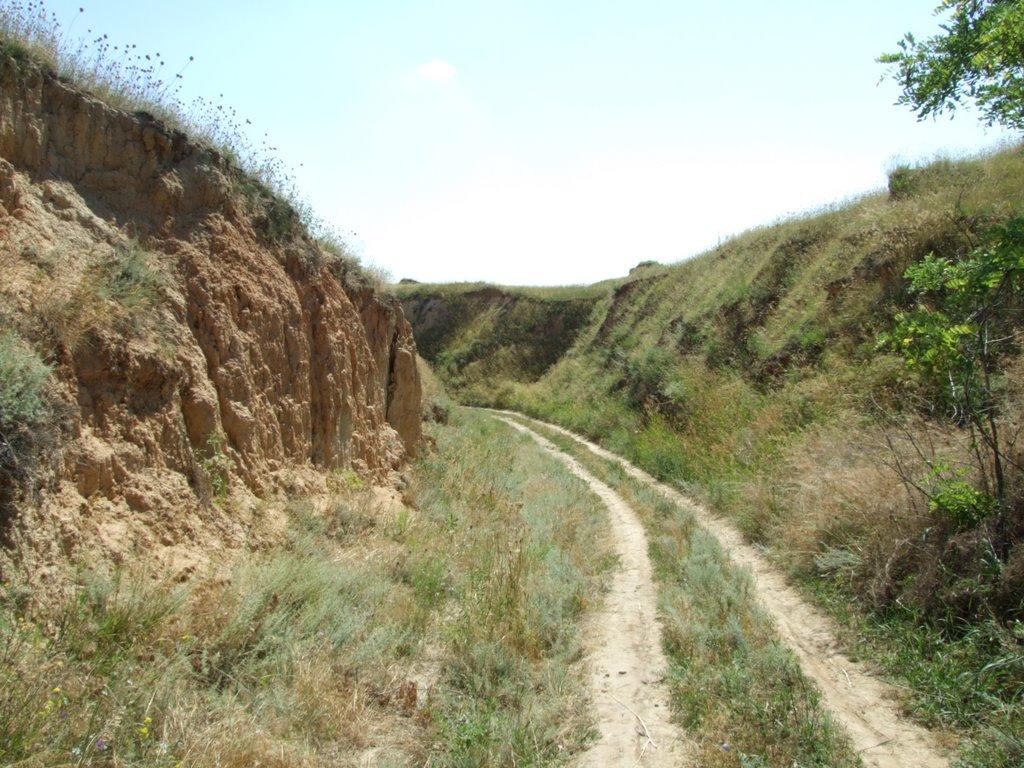 Широка Балка з panoramio.com - Широка Балка