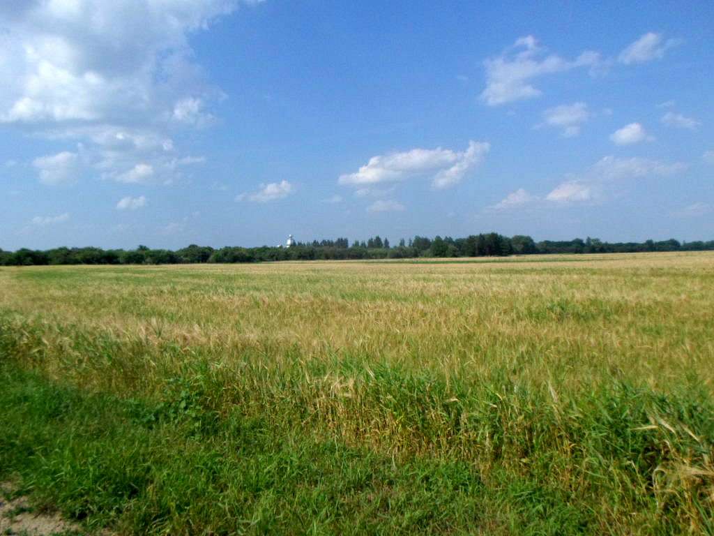 краєвид - Тейсарів