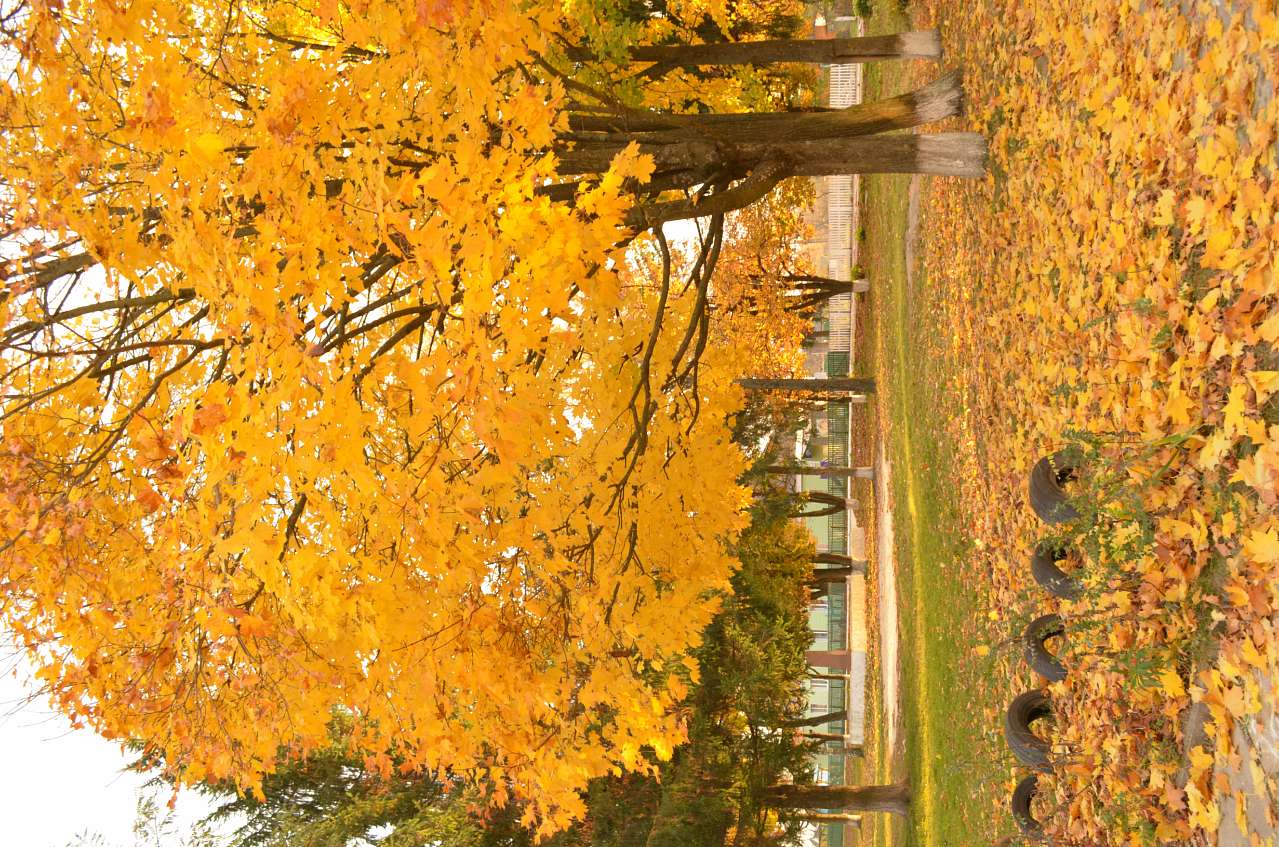 Oktober - Тепениця