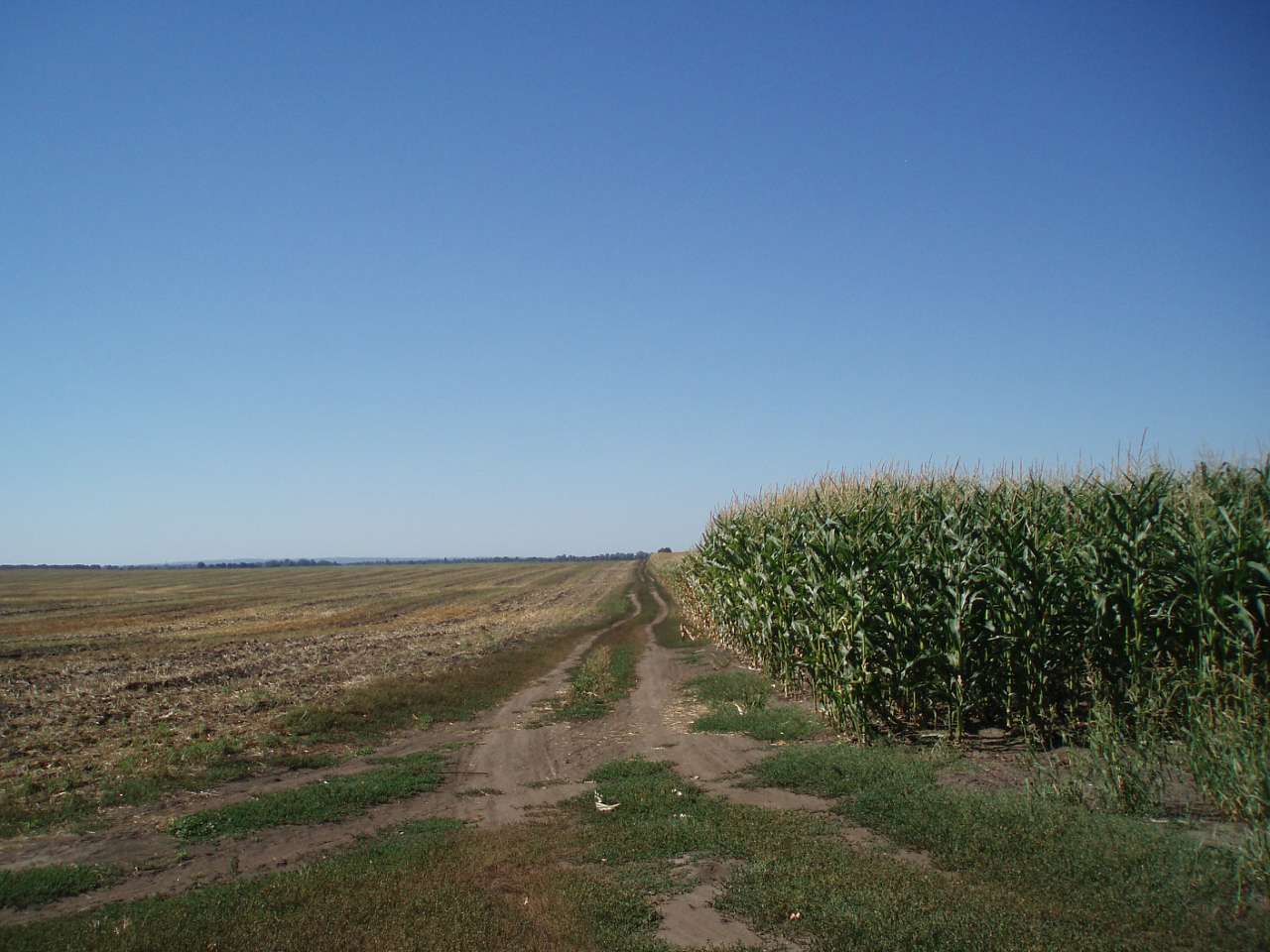 с. Гайшин - Гайшин