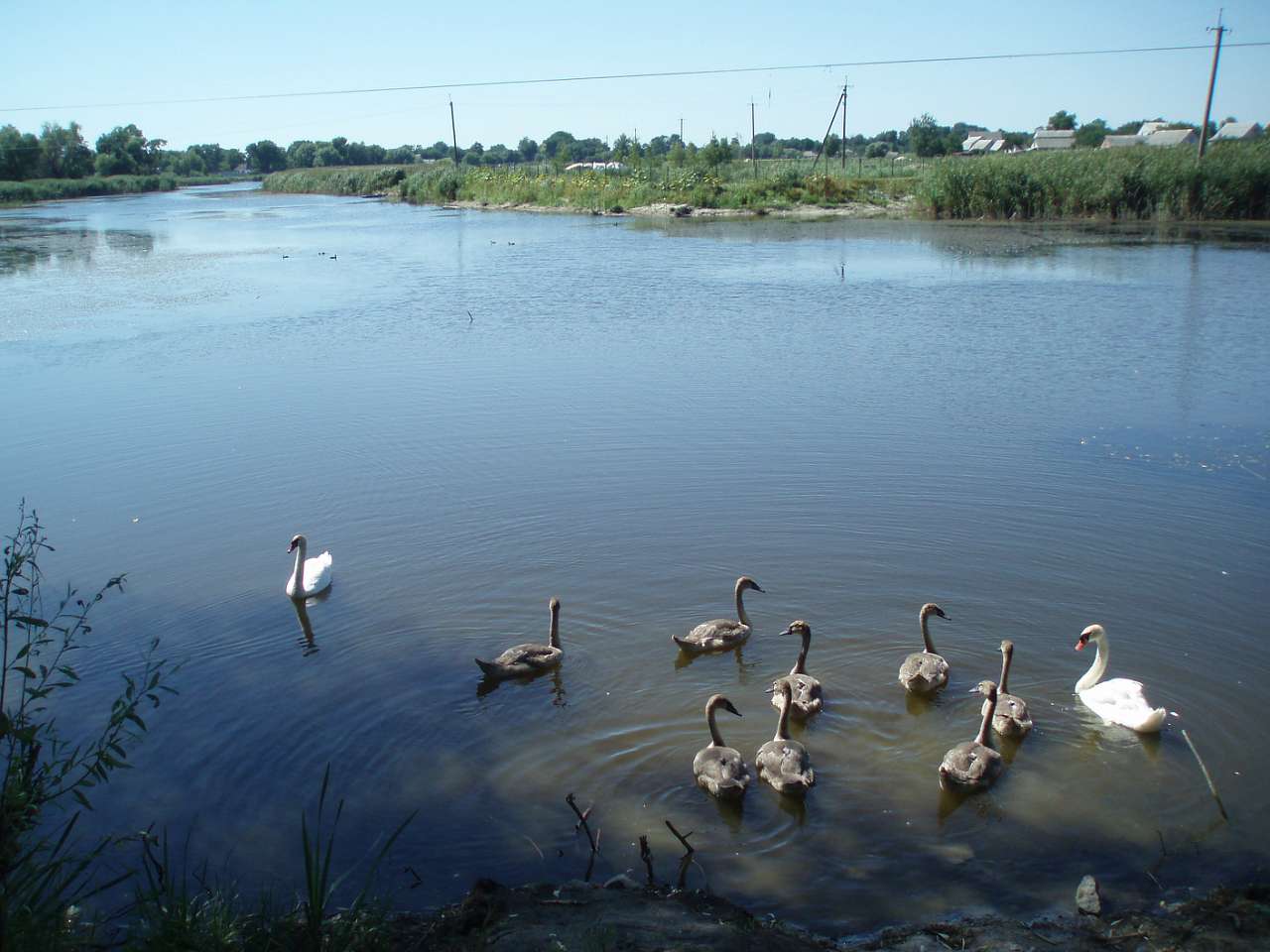 село та його жителі в різні часи - Demyantsi