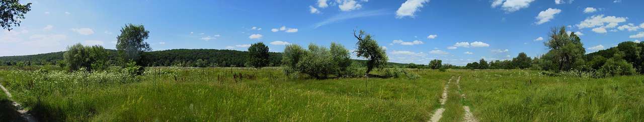 Эсхар-2015 - Эсхар