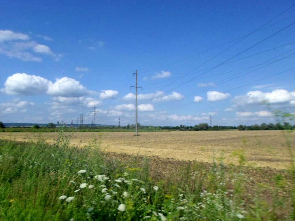 Краєвид - Черница