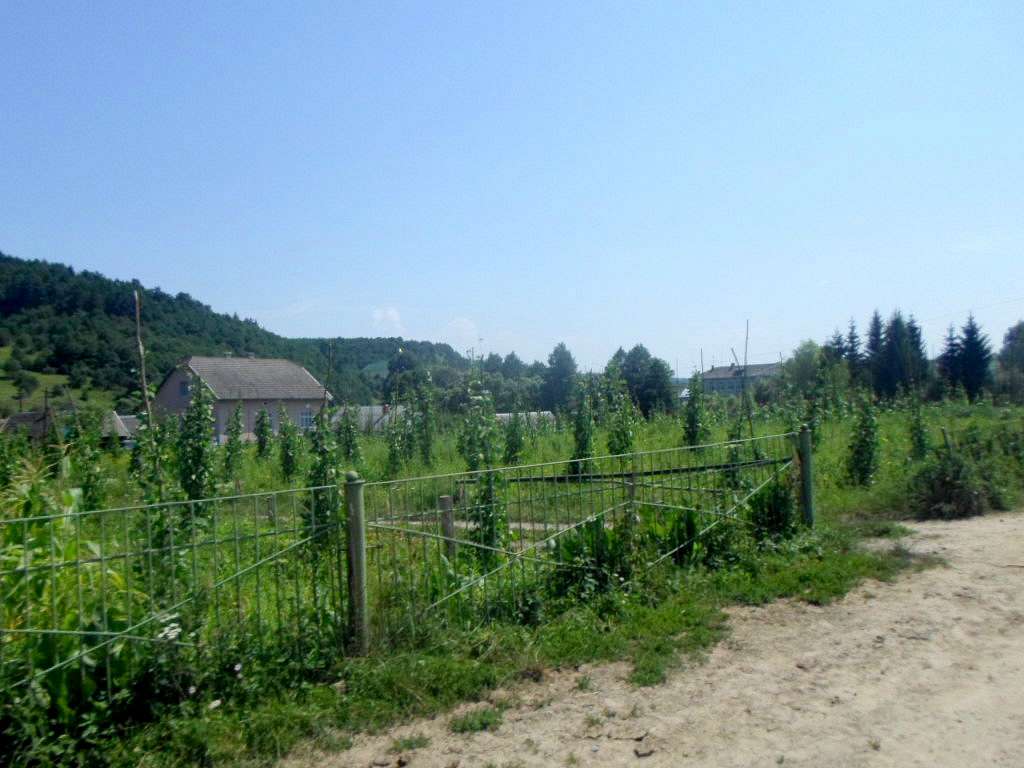 Краєвид - Стольское