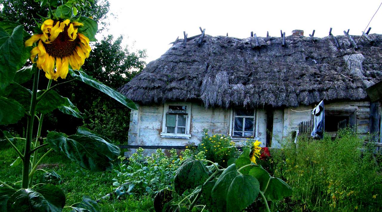 Вереси, які вони є... - Вереси