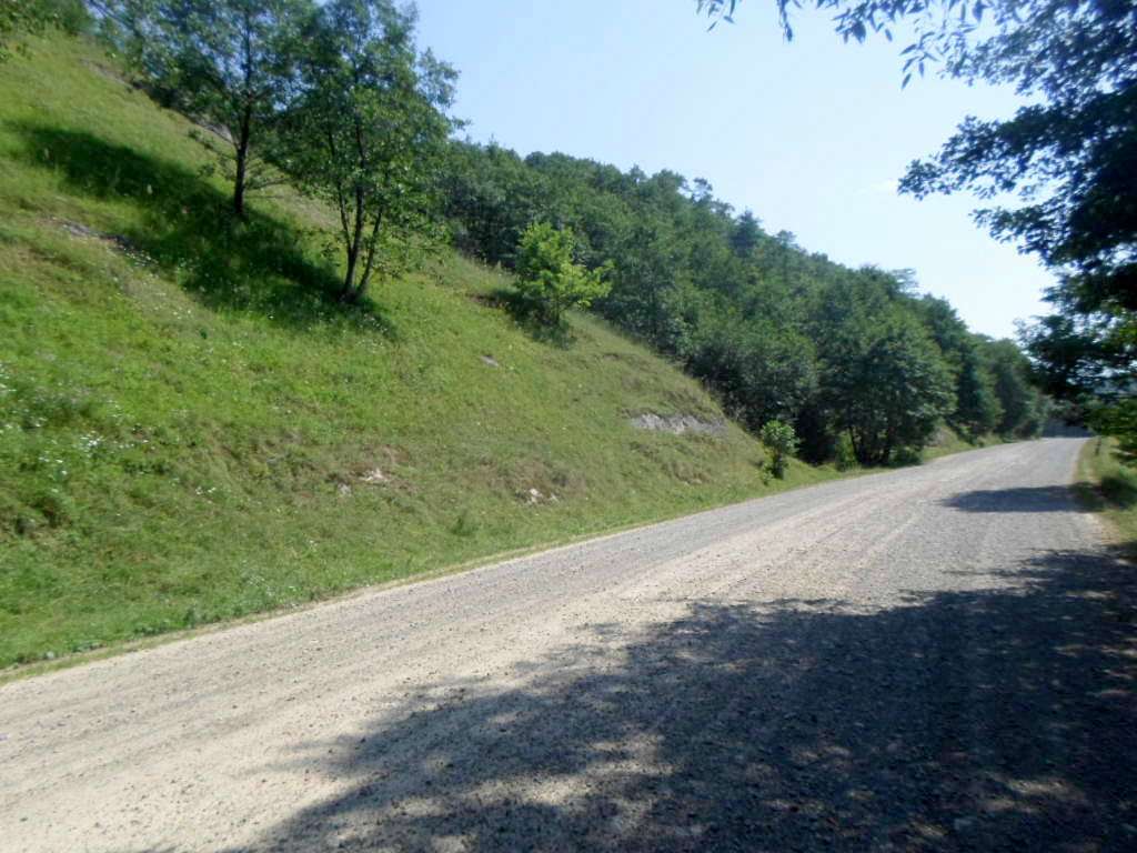 Краєвид - Дуброва