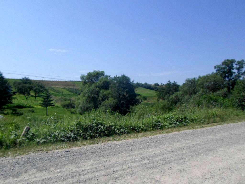 Краєвид - Диброва