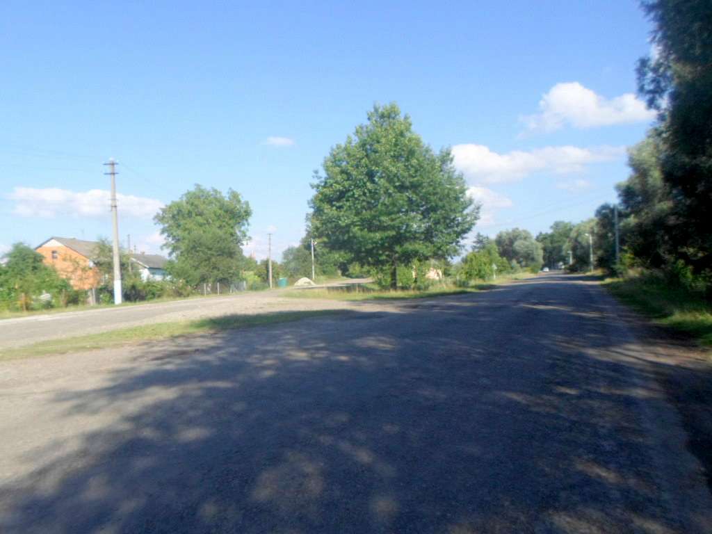 Краєвид - Черница