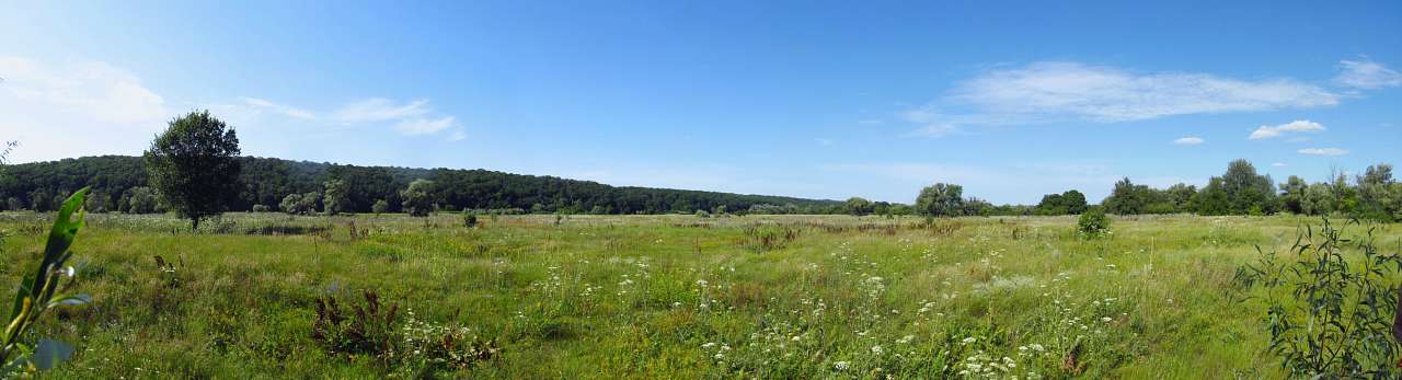 Эсхар-2015 - Эсхар