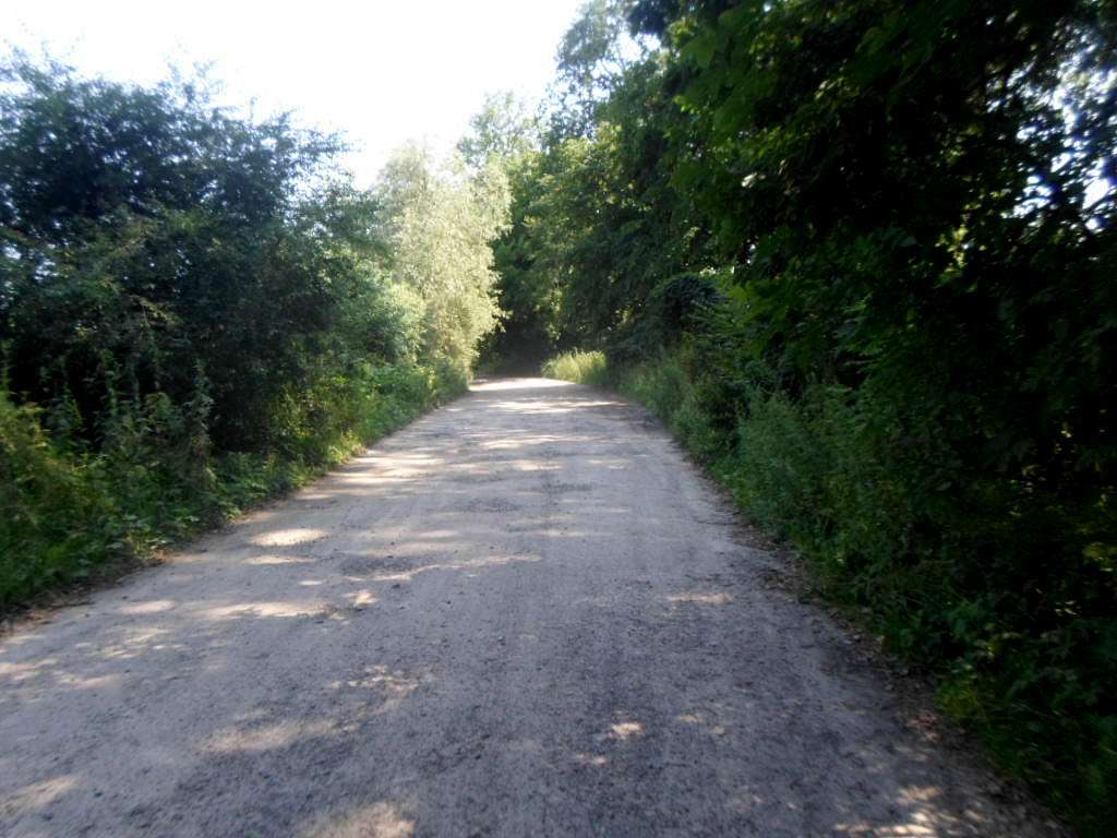 Краєвид - Розділ