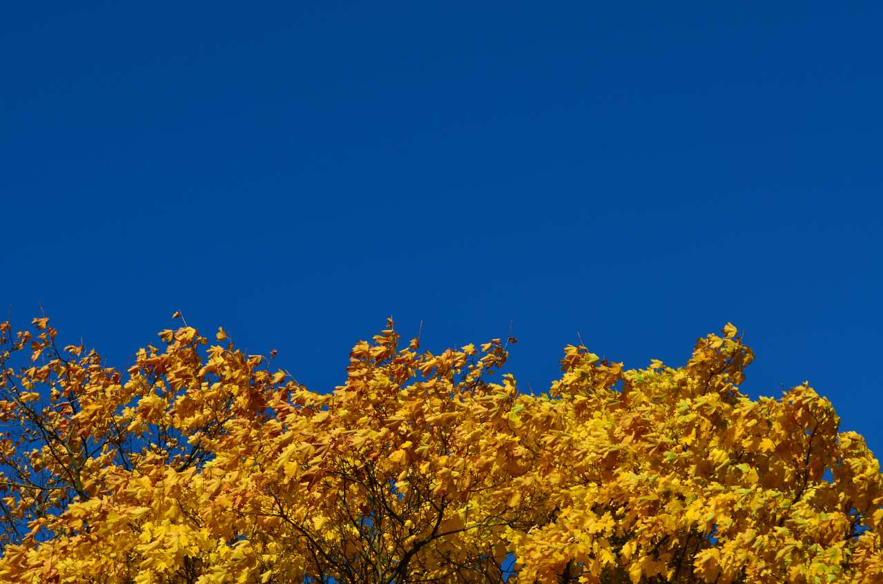 Oktober - Тепениця