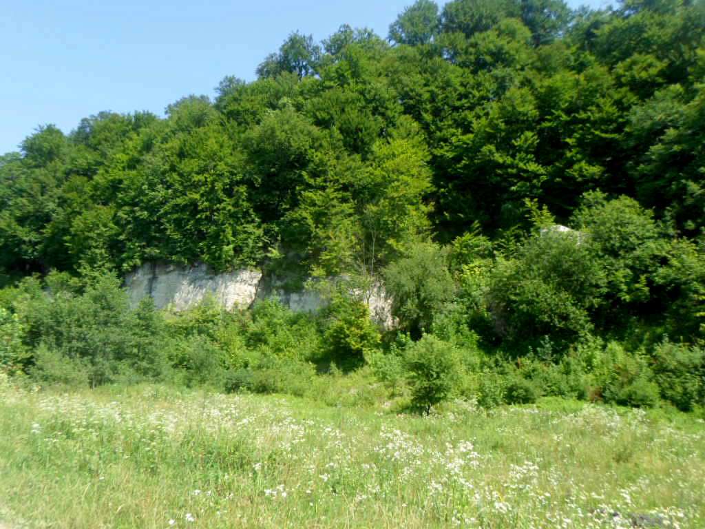 Краєвид - Розділ