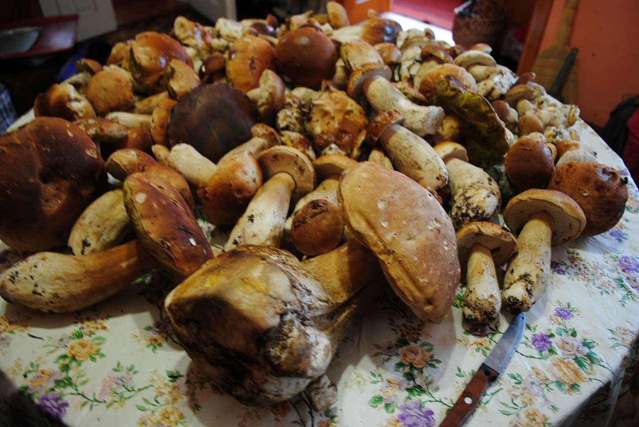 МАКРО - Нижні Станівці