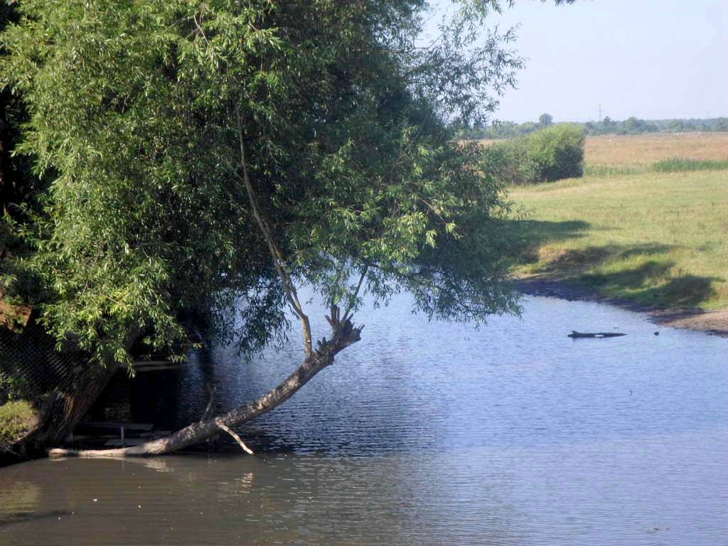 річка Вівнянка - Держев
