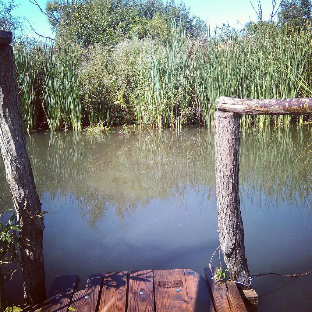 Природа нашого краю - Снитков