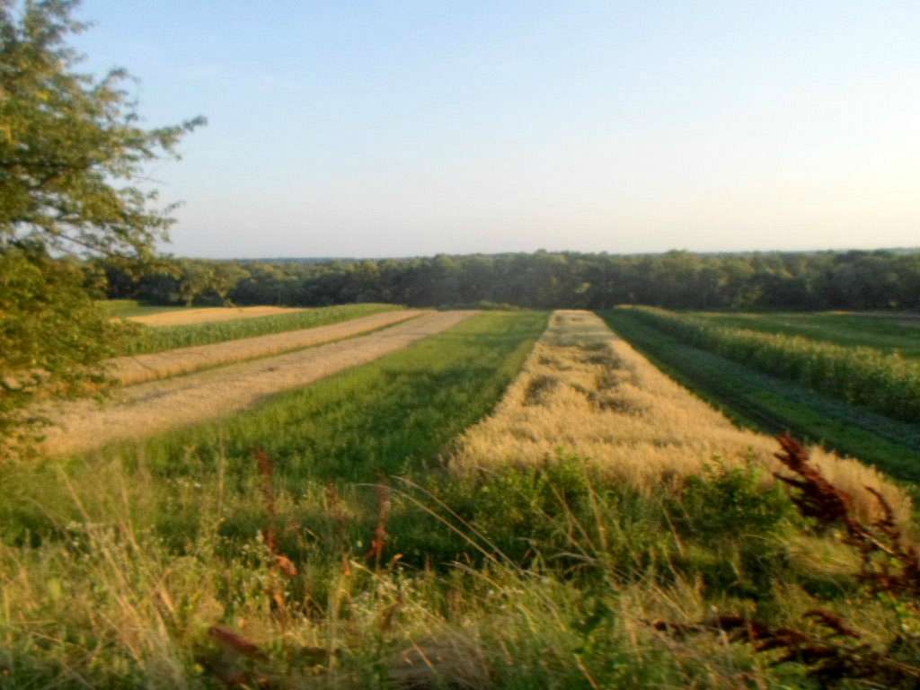 Краєвид - Крупське