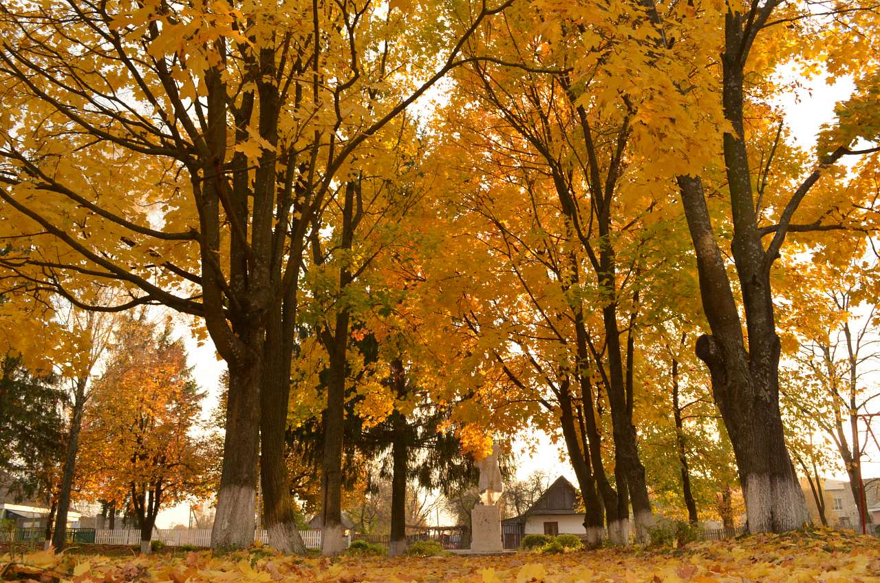 Oktober - Тепениця