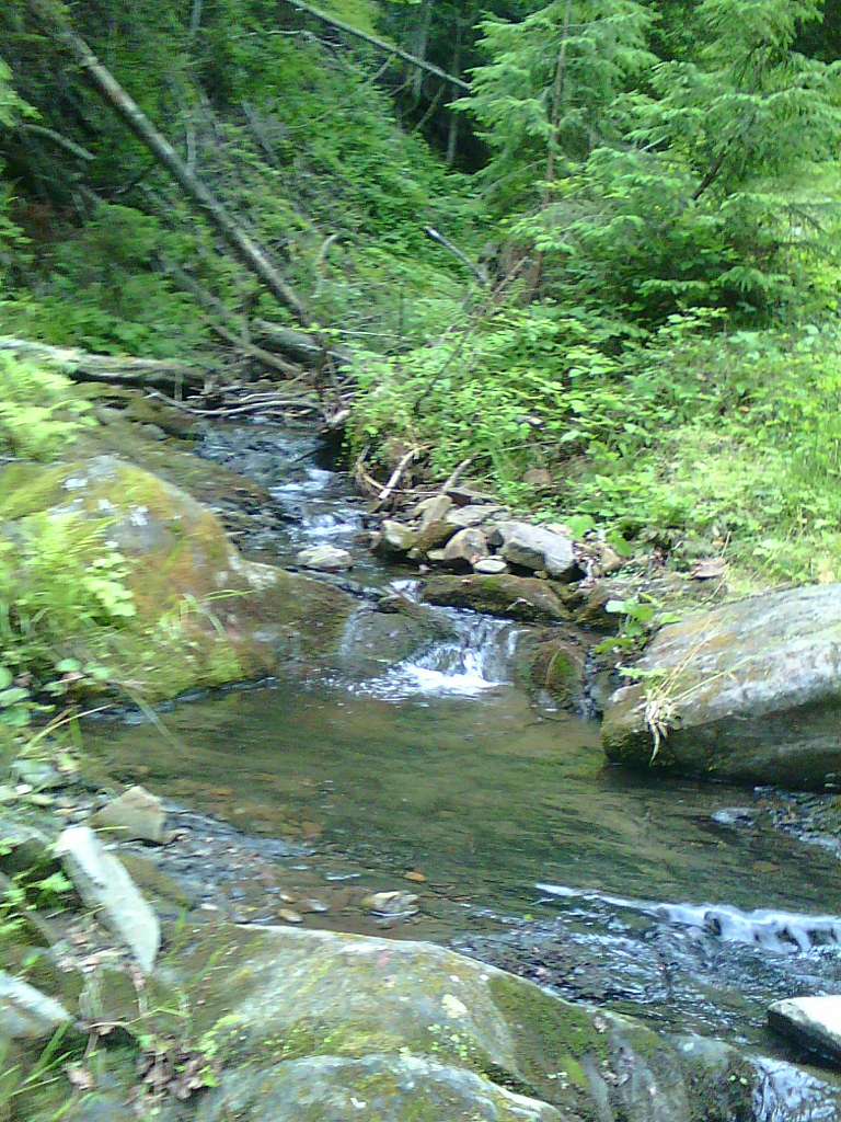 Зубриця - Зубриця