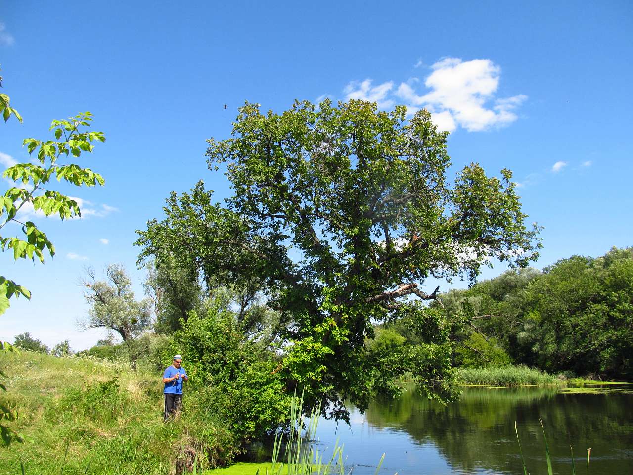Эсхар-2015 - Эсхар