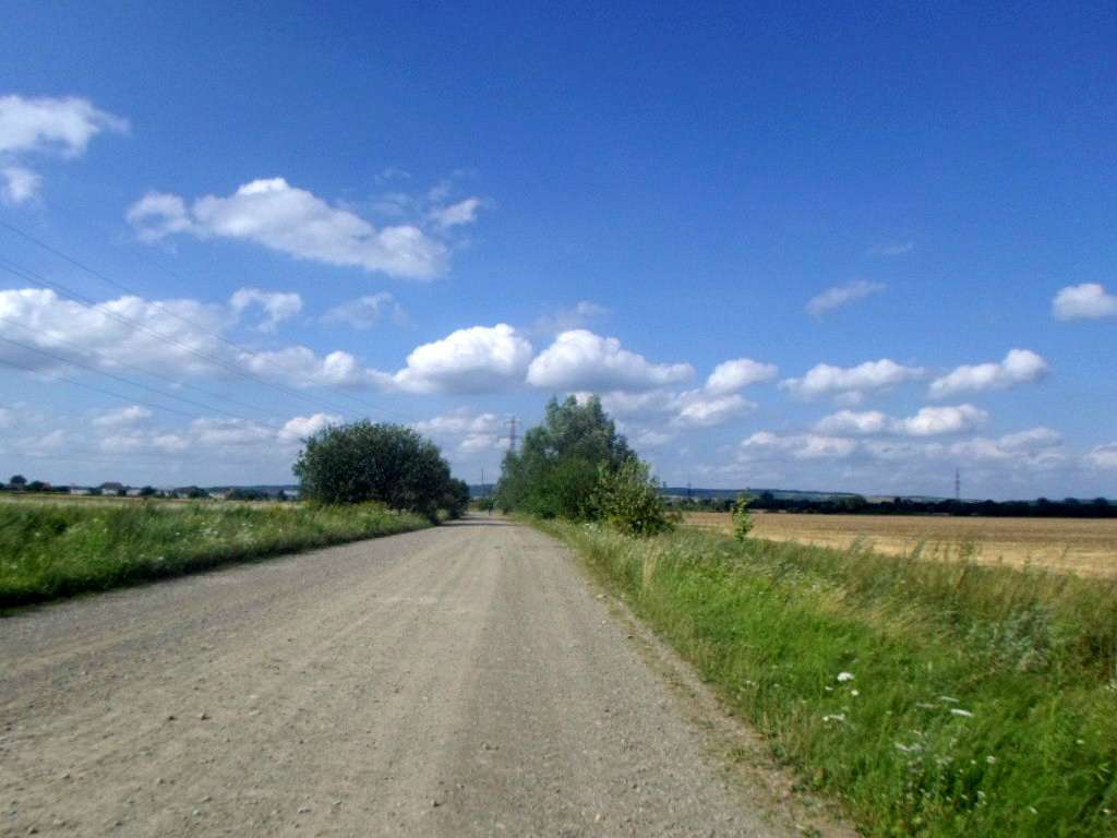 Краєвид - Черница