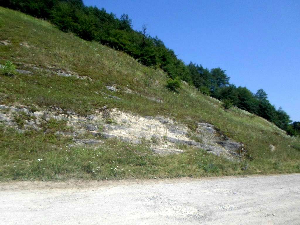 Краєвид - Диброва