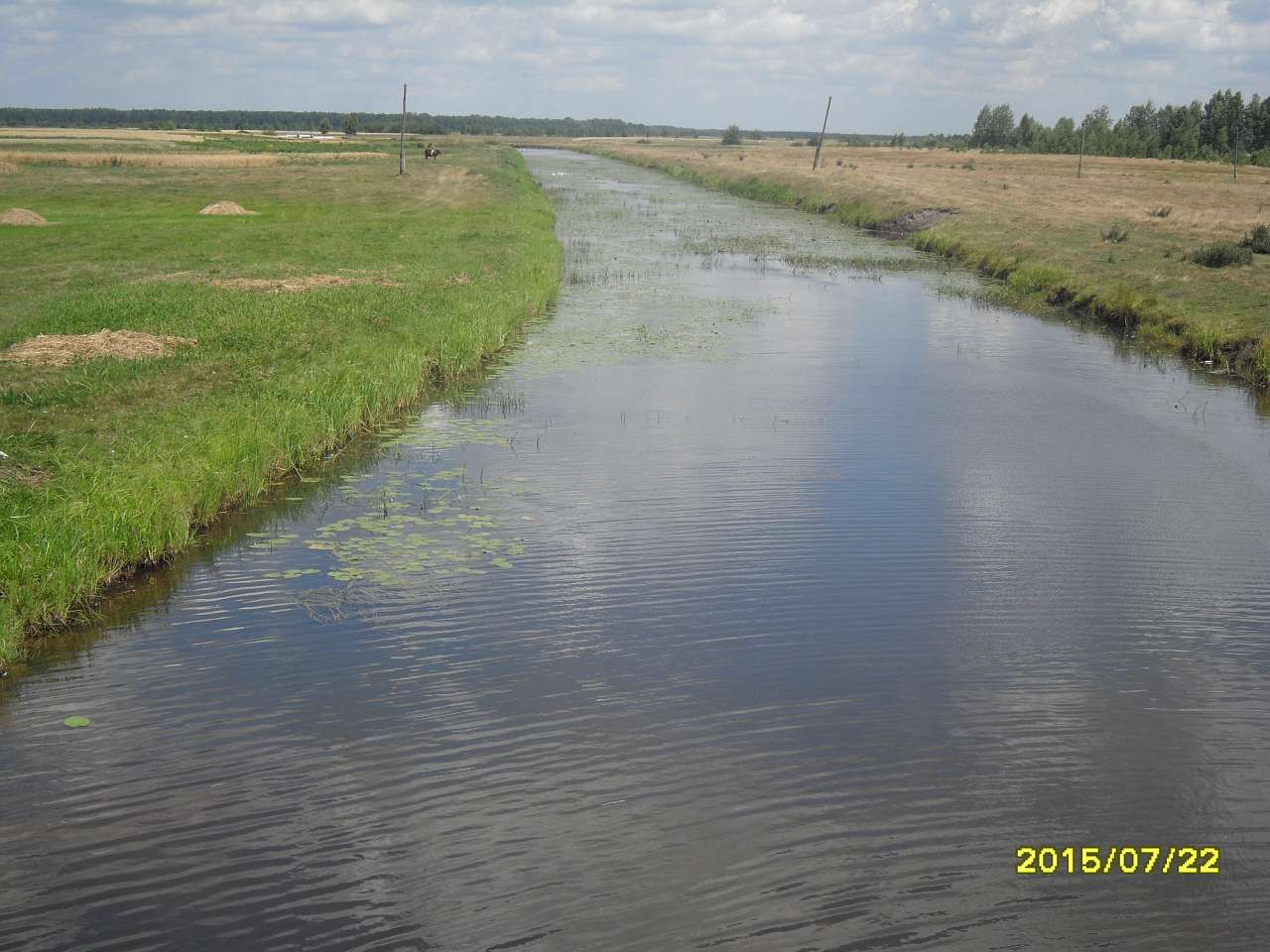 Красноволя - Красноволя