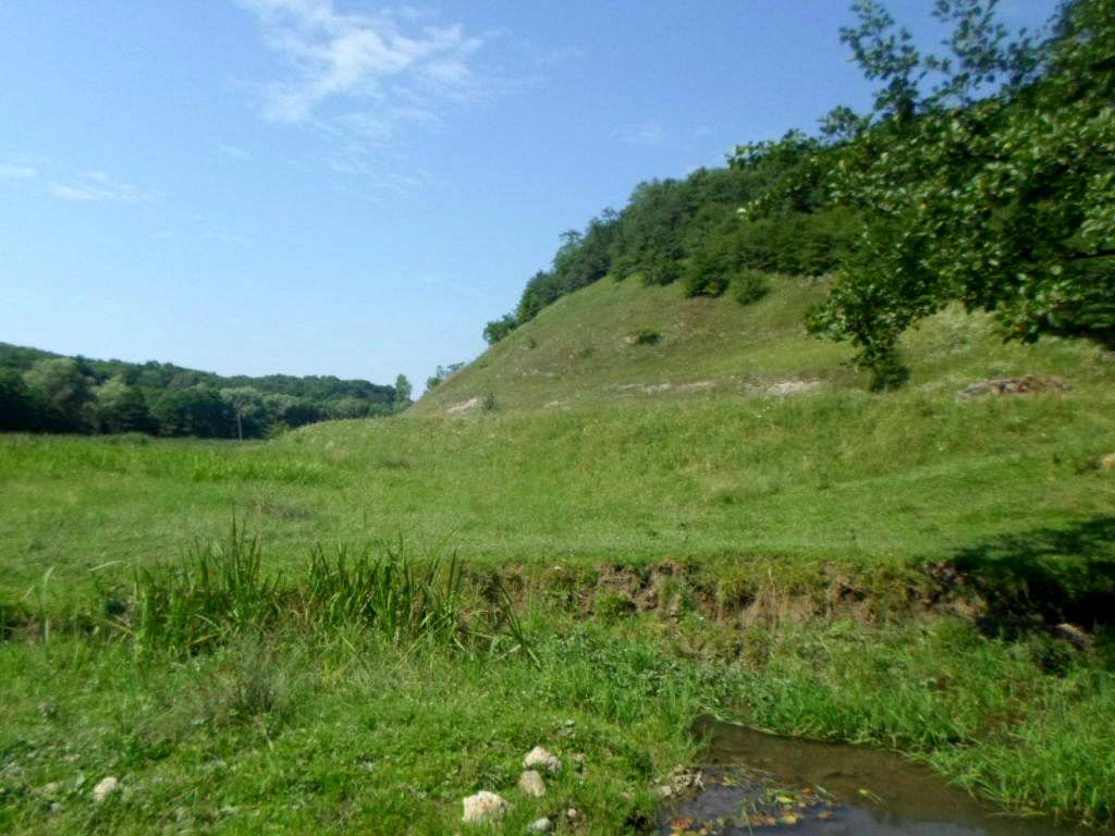 Краєвид - Диброва