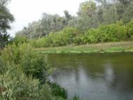 Завгороднє з panoramio.com