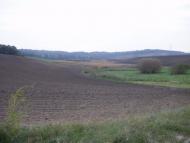 Чижівка - Останні фото