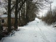 Березна з panoramio.com