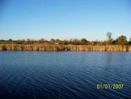 Волна з panoramio.com