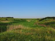 Волна - Последние фото