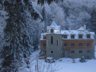 Ясень з panoramio.com