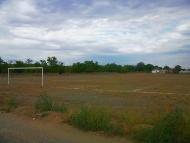 Шевченкове з panoramio.com