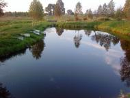 Велика Ведмежка з panoramio.com