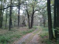 Любка - Останні фото