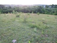 Лозова з panoramio.com