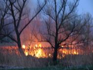 Яблучне з panoramio.com