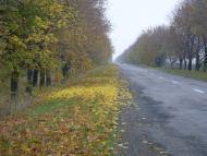 Степківка з panoramio.com