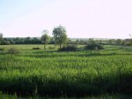 Чепелі - Останні фото