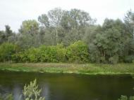 Завгороднє з panoramio.com