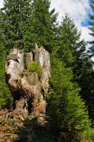 Комсомольськ з panoramio.com