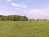 Маслівка - Останні фото